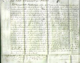 Court of Common Pleas - Ann Hannam-Original Ancestry