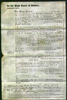 Court of Common Pleas - Ann Darlington-Original Ancestry