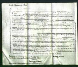 Court of Common Pleas - Etheldred Foster-Original Ancestry