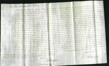 Court of Common Pleas - Frances Brook-Original Ancestry