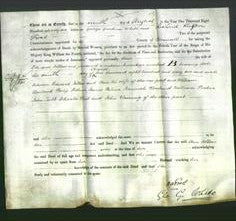 Deed by Married Women - Ann Jollow-Original Ancestry