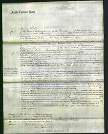 Court of Common Pleas - Catherine Jepson-Original Ancestry