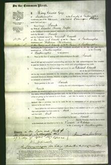 Court of Common Pleas - Sarah Tayler-Original Ancestry