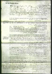 Court of Common Pleas - Lucy Carter Keen-Original Ancestry