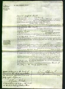 Court of Common Pleas - Elizabeth Trevor-Original Ancestry