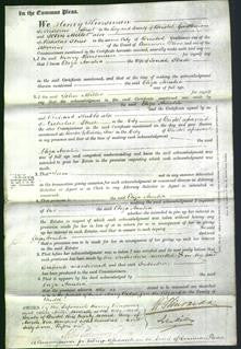 Court of Common Pleas - Eliza Amelia Slade-Original Ancestry