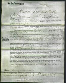 Court of Common Pleas - Margaret Hall-Original Ancestry