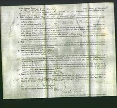 Court of Common Pleas - Mary Ann Leigh-Original Ancestry