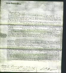 Court of Common Pleas - Ann Potter, Betsey Potter and Emma Woods-Original Ancestry