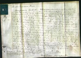 Court of Common Pleas - Eliza James-Original Ancestry