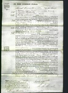 Court of Common Pleas - Jane Cornish Parry-Original Ancestry