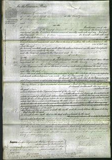 Court of Common Pleas - Jane Wilson-Original Ancestry