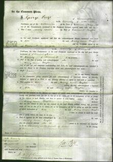 Court of Common Pleas - Mary Ann Taylor-Original Ancestry