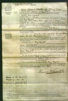 Court of Common Pleas - Mary Elizabeth Tennison-Original Ancestry