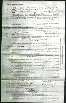 Court of Common Pleas - Hester Phelps-Original Ancestry