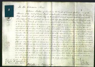 Court of Common Pleas - Mary Jemlett Long-Original Ancestry