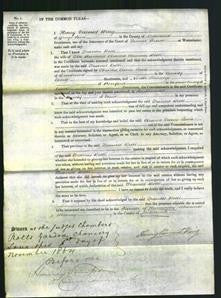 Court of Common Pleas - Frances Belli-Original Ancestry