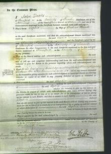 Court of Common Pleas - Sophia Hack-Original Ancestry