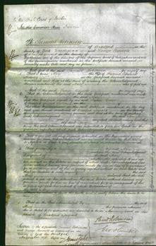 Court of Common Pleas - Mary Midgley-Original Ancestry