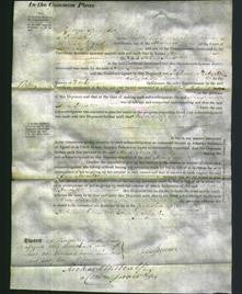 Court of Common Pleas - Ann Jowett-Original Ancestry