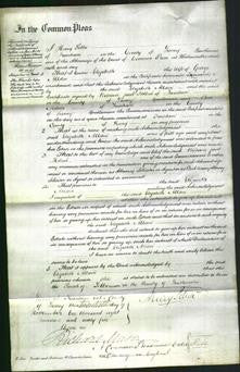 Court of Common Pleas - Elizabeth Allden-Original Ancestry