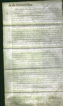 Court of Common Pleas - Jane Bowler-Original Ancestry