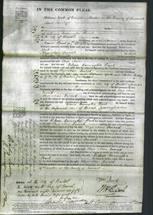 Court of Common Pleas - Eliza Ann Derrick-Original Ancestry