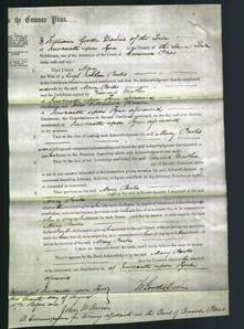 Court of Common Pleas - Mary Parks-Original Ancestry
