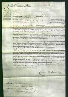 Court of Common Pleas - Frances Eliza Upton-Original Ancestry