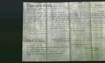 Deed by Married Women - Ann Potter, Betsey Potter and Emma Woods-Original Ancestry