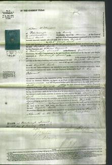 Court of Common Pleas - Elizabeth Smith-Original Ancestry