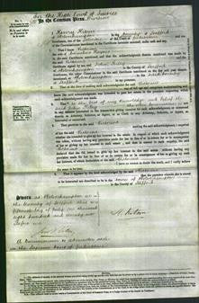 Court of Common Pleas - Victorine Haynes-Original Ancestry