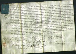 Court of Common Pleas - Martha Atkins-Original Ancestry