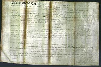 Deed by Married Women - Elizabeth Smith, Mary Albutt, Ann Russell and Charlotte Adams-Original Ancestry