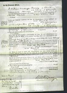 Court of Common Pleas - Elizabeth Niblett-Original Ancestry