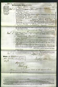 Court of Common Pleas - Elizabeth Nixon-Original Ancestry