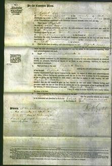 Court of Common Pleas - Elizabeth Cooper-Original Ancestry