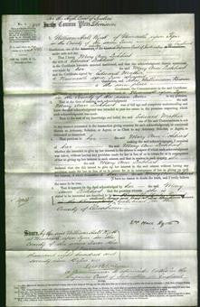 Court of Common Pleas - Mary Ann Lockhart-Original Ancestry