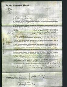 Court of Common Pleas - Ann Sheppard-Original Ancestry