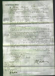 Court of Common Pleas - Mary Ann Bailey-Original Ancestry