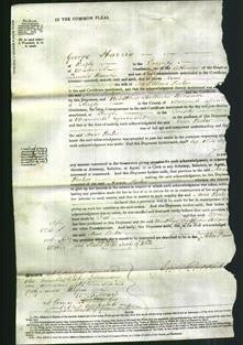 Court of Common Pleas - Anna Parker-Original Ancestry