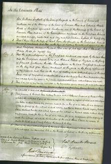 Court of Common Pleas - Jane Corin-Original Ancestry