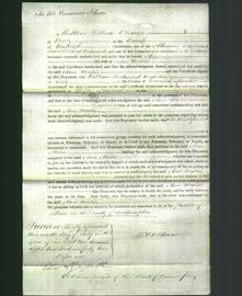 Court of Common Pleas - Ann Malin-Original Ancestry