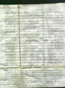 Court of Common Pleas - Elizabeth Trumper-Original Ancestry