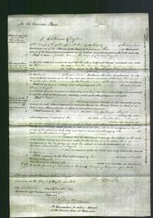 Court of Common Pleas - Martha Anna Meggitt-Original Ancestry
