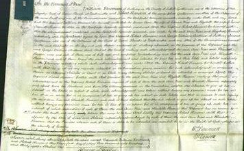 Court of Common Pleas - Ann Nice and Elizabeth Parsson-Original Ancestry