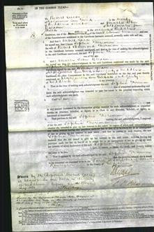 Court of Common Pleas - Sophia Foreman-Original Ancestry