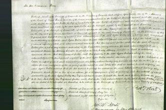 Court of Common Pleas - Lydia Wallis-Original Ancestry