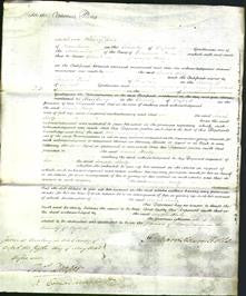 Court of Common Pleas - Sarah Kirby-Original Ancestry