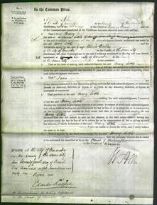 Court of Common Pleas - Mary Little-Original Ancestry